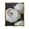 Stupell Industries Budding Ranunculus Flower Blooming Framed Floater Canvas Wall Art